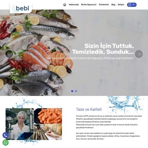 https://www.bebibalik.com/