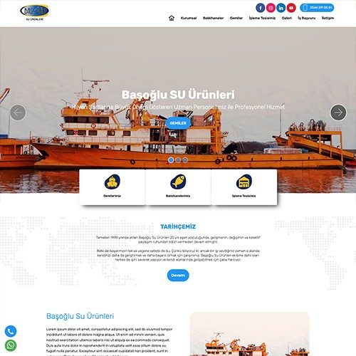 https://www.basoglusuurunleri.com.tr/