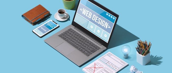 Profesyonel Web Sitesi Tasarımı